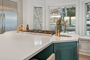 Details with sink, stainless steel built in fridge, and green cabinets