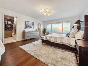 Bedroom with a closet, a walk in closet, and dark hardwood / wood-style floors