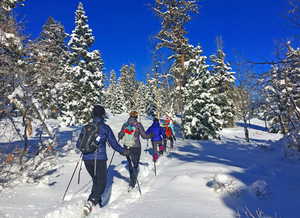 Come snowshoe or cross country on our trails!