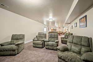 Cinema room with a textured ceiling and carpet