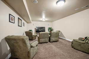 Cinema room with a textured ceiling and carpet