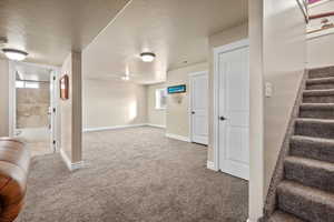 Basement featuring carpet and a textured ceiling