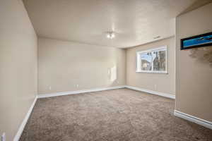 Carpeted spare room with a textured ceiling