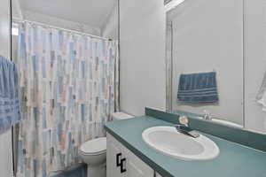 Bathroom featuring toilet, vanity, and a shower with curtain