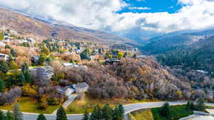 Bird's eye view featuring a mountain view