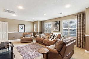 Family room #2 featuring light colored carpet, a textured ceiling, and a healthy amount of sunlight