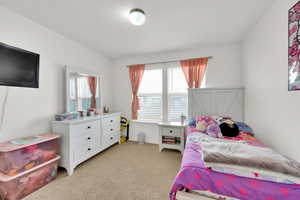 Bedroom featuring multiple windows and light carpet