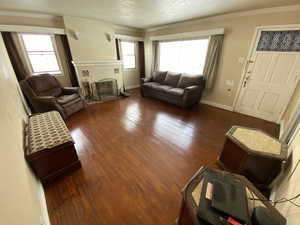 Living room with dark wood-type flooring, a textured ceiling, and crown molding