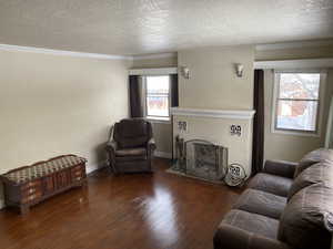 Living room with dark wood-type flooring, a textured ceiling, and crown molding