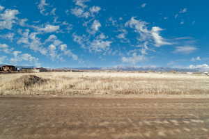 View of local wilderness with a mountain view