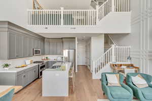 Kitchen featuring a center island with sink, sink, light wood-type flooring, gray cabinetry, and stainless steel appliances