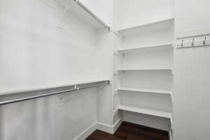 Spacious closet with dark wood-type flooring