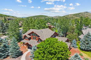 Aerial view with a mountain view