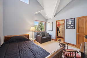 Carpeted bedroom with a walk in closet, vaulted ceiling, and a closet