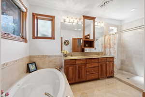 Bathroom featuring vanity and shower with separate bathtub