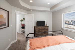 Bedroom featuring a raised ceiling and carpet floors