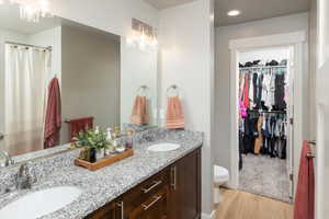 Bathroom featuring toilet, vanity, and wood-type flooring