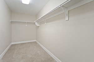 Walk in closet featuring carpet floors