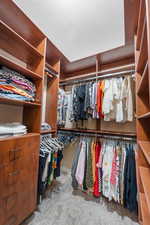 Walk in closet with carpet flooring