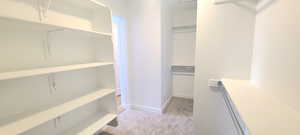 Spacious Walk-in Closet with built in shelving