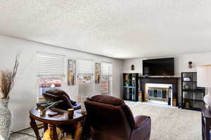 Living room with a textured ceiling and carpet