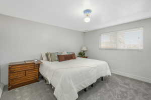 Master bedroom with new carpet and new paint