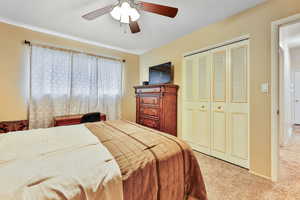 Carpeted bedroom featuring ceiling fan and a closet