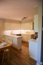 Kitchen with white cabinetry, kitchen peninsula, decorative backsplash, dark hardwood / wood-style flooring, and sink