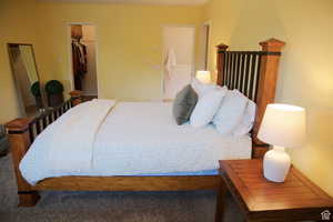 Bedroom featuring carpet, a closet, and a walk in closet