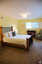 Bedroom featuring dark colored carpet