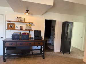 Office space featuring carpet floors, baseboards, and a textured ceiling