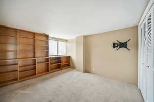 Interior space featuring light carpet and a closet