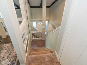 Stairway featuring carpet floors and ornamental molding