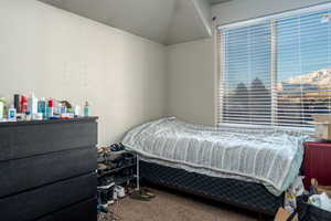 Bedroom with carpet