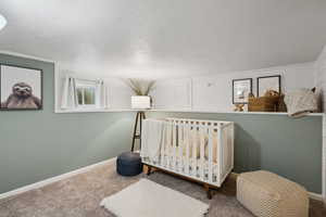 Bedroom featuring carpet and decorative ledge