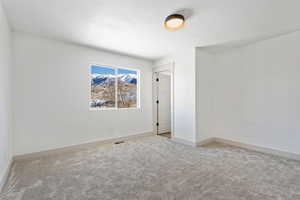 Unfurnished room featuring light colored carpet and a textured ceiling