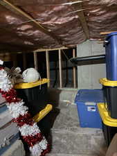 Crawl Space Storage