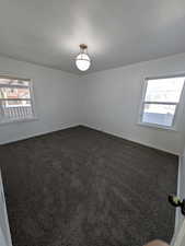 Bedroom 1 w/ new carpet