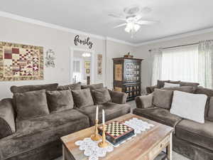 Living room with ceiling fan, carpet, and crown molding