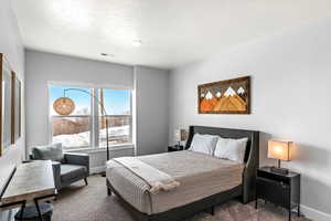 Bedroom with carpet floors