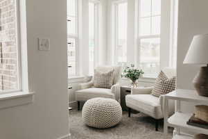 Living area featuring plenty of natural light