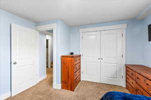 Bedroom with a closet and light carpet