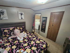 Carpeted bedroom with vaulted ceiling, washer / dryer, a textured ceiling, and ornamental molding