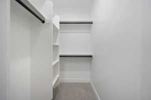 Walk in closet featuring carpet floors