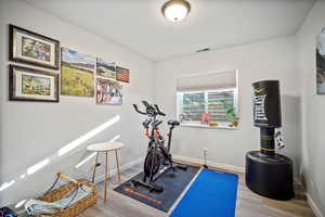 Exercise room with hardwood / wood-style flooring