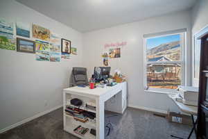 View of carpeted home office