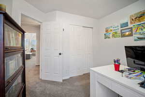 Home office with carpet floors