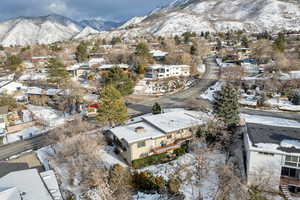 Aerial view with a mountain view