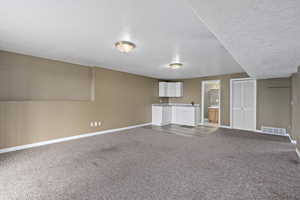 Unfurnished living room featuring a textured ceiling, carpet, and sink