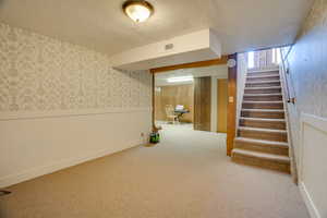 Basement with carpet floors